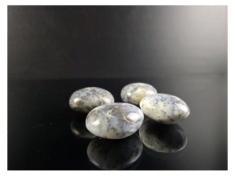 AHAT-DENDRITSKI (4-5 cm) Cijena Akcija