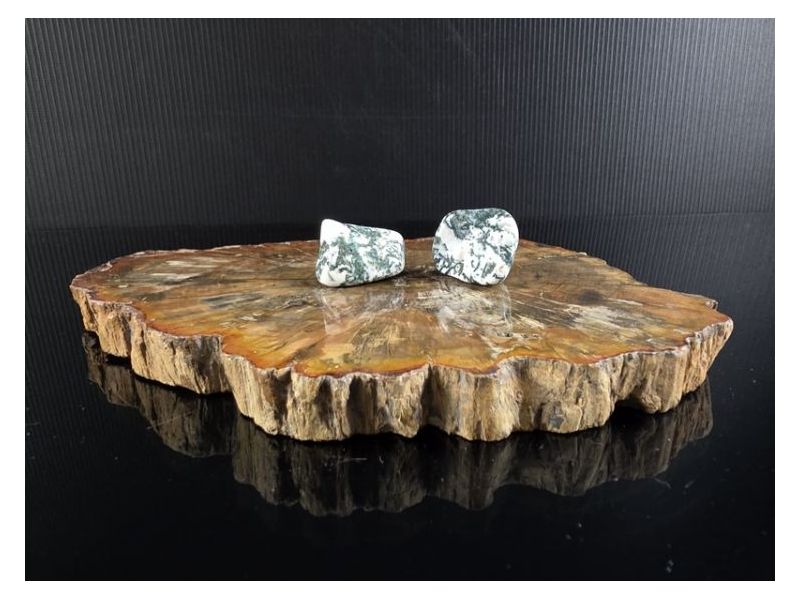 AHAT-DRVO (2-3 cm) Cijena Akcija