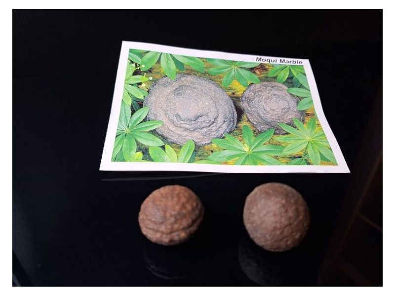 MOQUI-kamenje (2,5-3 cm) (1 par) Cijena Akcija
