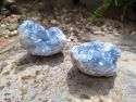 CELESTIT (7 cm) Cijena