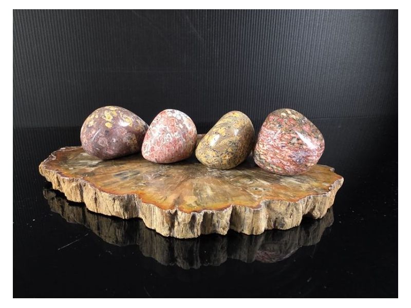 JASPIS-LEOPARDOVA KOŽA (4-5 cm) Cijena Akcija