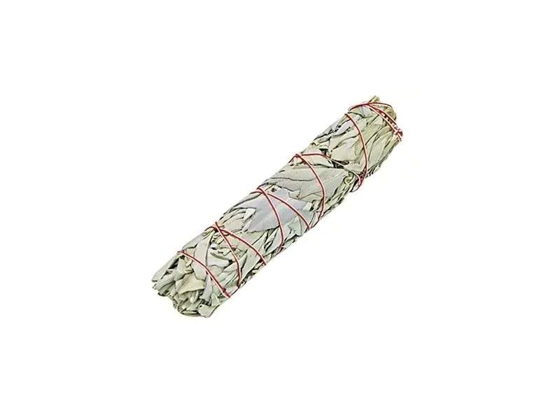 KADULJA-Bijela (1 kom.) 90-100 g Cijena Akcija