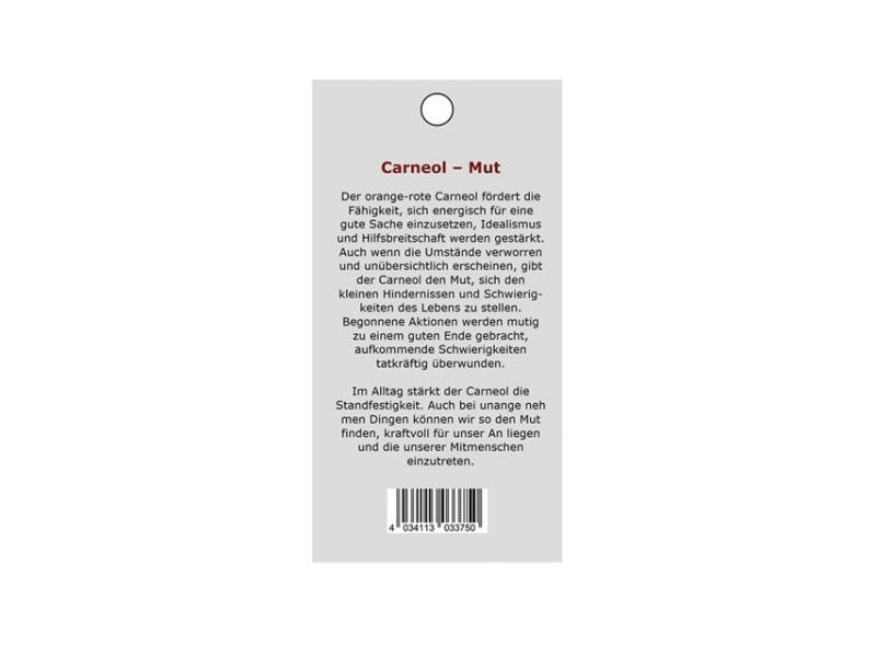 KARNEOL-Ogrlica s plosnatim privjeskom Cijena Akcija