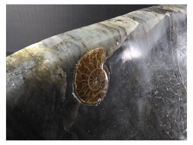 LABRADORIT-UKRASNA POSUDA (15,8 kg) Cijena Akcija