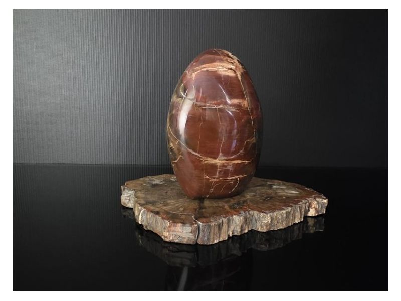 OKAMENJENO DRVO (9x13 cm) Cijena Akcija