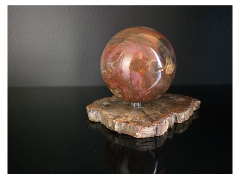 OKAMENJENO DRVO-Kugla (11,5 cm) Cijena Akcija