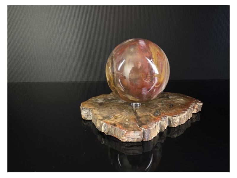 OKAMENJENO DRVO-Kugla (9,5 cm) Cijena Akcija