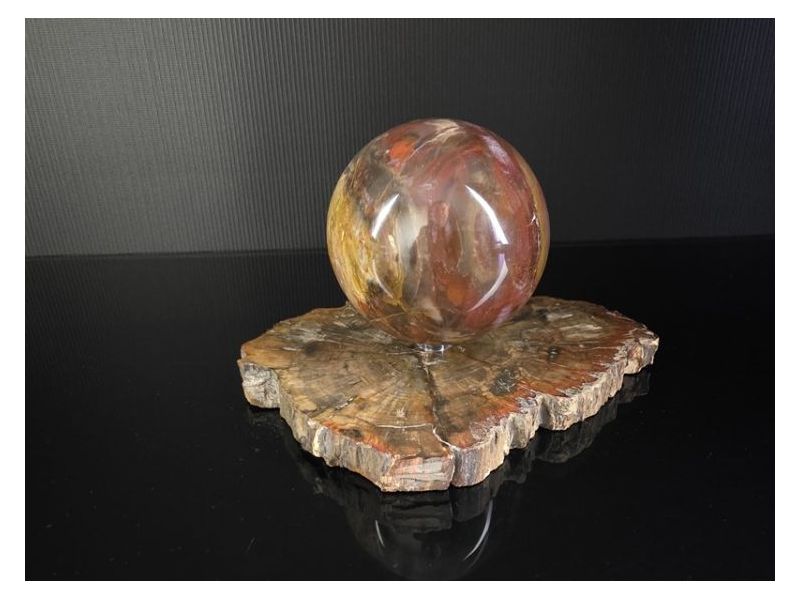 OKAMENJENO DRVO-Kugla (9,5 cm) Cijena Akcija