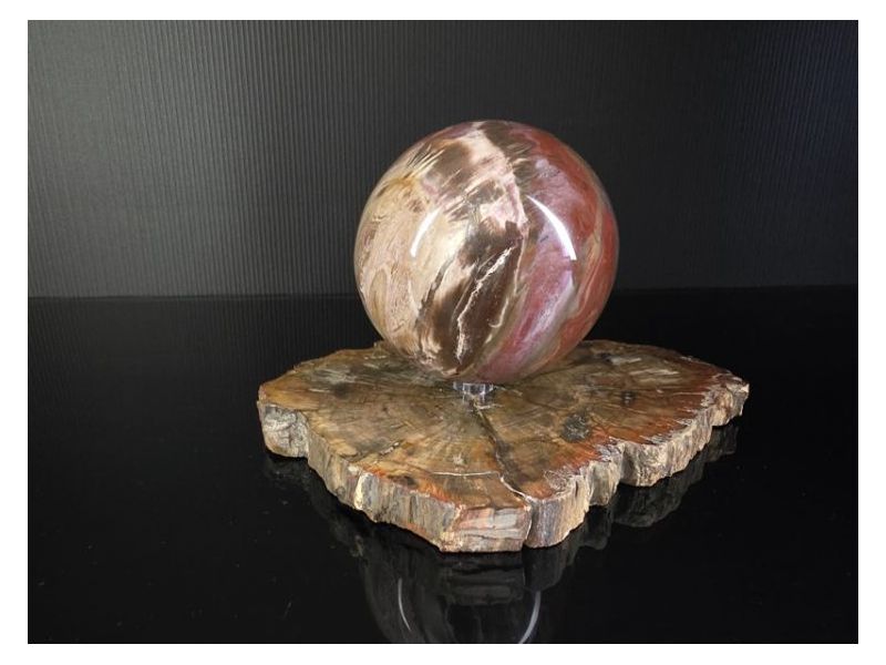 OKAMENJENO DRVO-Kugla (9,5 cm) Cijena Akcija