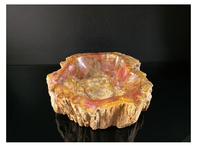 OKAMENJENO DRVO-Ukrasna posuda Cijena Akcija