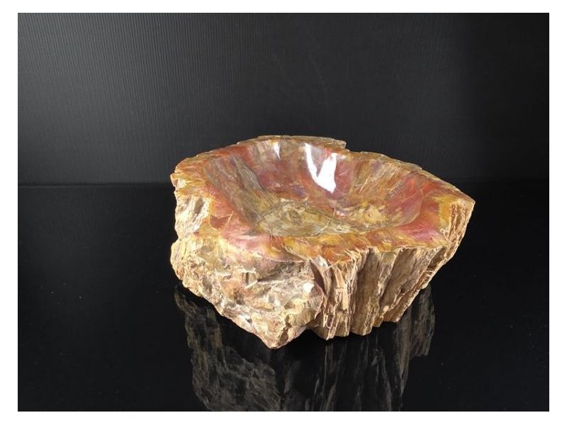 OKAMENJENO DRVO-Ukrasna posuda Cijena Akcija