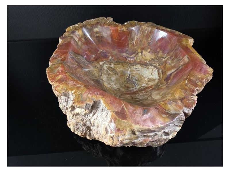 OKAMENJENO DRVO-Ukrasna posuda Cijena Akcija