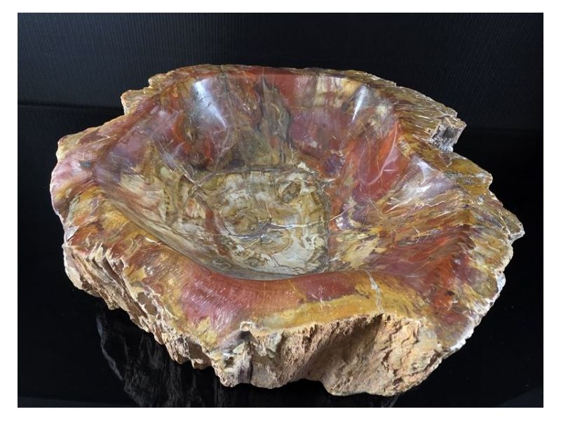 OKAMENJENO DRVO-Ukrasna posuda Cijena Akcija