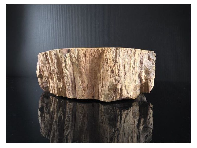 OKAMENJENO DRVO-Ukrasna posuda Cijena Akcija