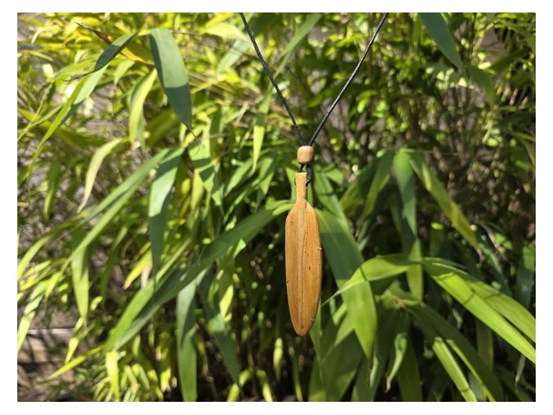 PALO SANTO-Ogrlica s privjeskom “Pero” (9 cm) Cijena Akcija