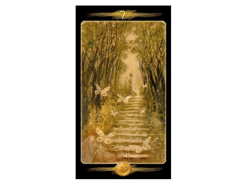 TAROT OF THE SECRET FOREST Cijena Akcija